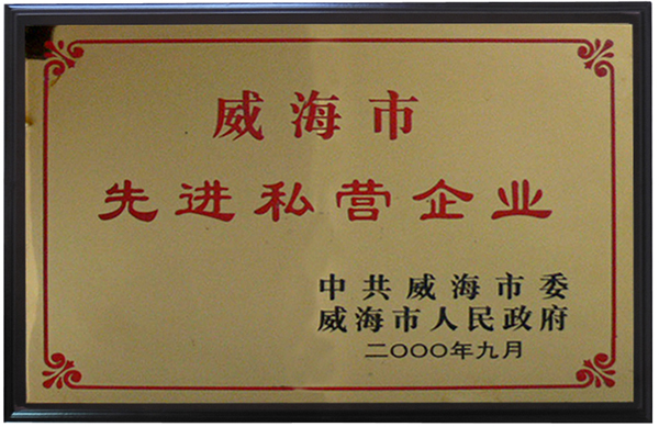 先進(jìn)私營(yíng)企業(yè)